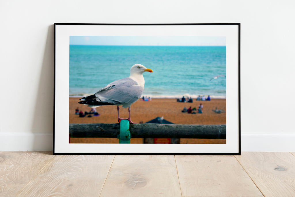 An Iconic Brighton Seagull | Brighton Beach - Brighton Streets